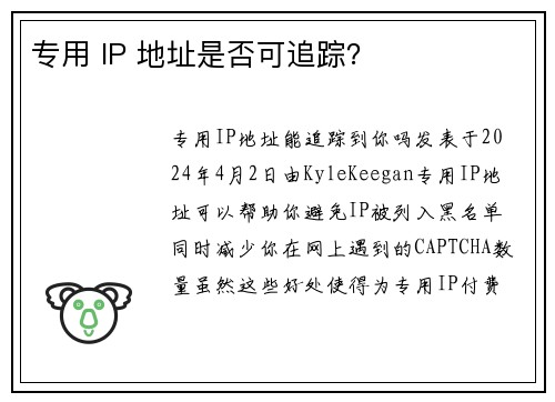 专用 IP 地址是否可追踪？